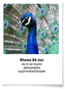 Rhewa 84 evo das ist das neueste dghshgisrghjiha srgrghrhreahaerhjtrejkkkk