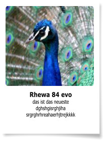 Rhewa 84 evo das ist das neueste dghshgisrghjiha srgrghrhreahaerhjtrejkkkk