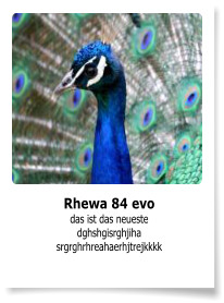 Rhewa 84 evo das ist das neueste dghshgisrghjiha srgrghrhreahaerhjtrejkkkk