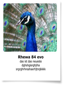 Rhewa 84 evo das ist das neueste dghshgisrghjiha srgrghrhreahaerhjtrejkkkk