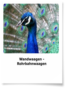 Wandwaagen - Rohrbahnwaagen