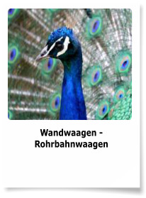 Wandwaagen - Rohrbahnwaagen