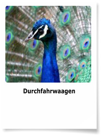 Durchfahrwaagen