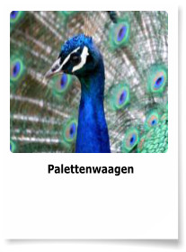 Palettenwaagen