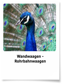 Wandwaagen - Rohrbahnwaagen