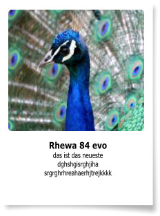 Rhewa 84 evo das ist das neueste dghshgisrghjiha srgrghrhreahaerhjtrejkkkk