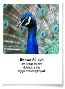 Rhewa 84 evo das ist das neueste dghshgisrghjiha srgrghrhreahaerhjtrejkkkk