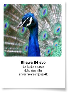 Rhewa 84 evo das ist das neueste dghshgisrghjiha srgrghrhreahaerhjtrejkkkk
