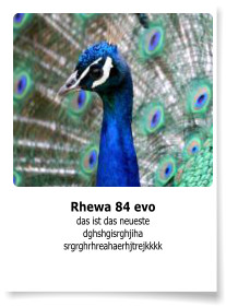 Rhewa 84 evo das ist das neueste dghshgisrghjiha srgrghrhreahaerhjtrejkkkk