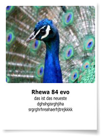 Rhewa 84 evo das ist das neueste dghshgisrghjiha srgrghrhreahaerhjtrejkkkk