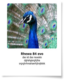 Rhewa 84 evo das ist das neueste dghshgisrghjiha srgrghrhreahaerhjtrejkkkk