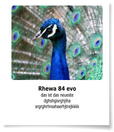 Rhewa 84 evo das ist das neueste dghshgisrghjiha srgrghrhreahaerhjtrejkkkk