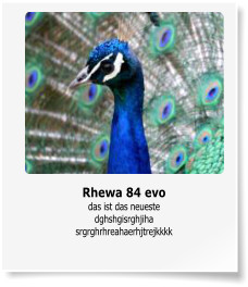 Rhewa 84 evo das ist das neueste dghshgisrghjiha srgrghrhreahaerhjtrejkkkk