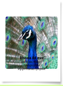 Rhewa 84 evo das ist das neueste dghshgisrghjiha srgrghrhreahaerhjtrejkkkk