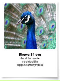 Rhewa 84 evo das ist das neueste dghshgisrghjiha srgrghrhreahaerhjtrejkkkk