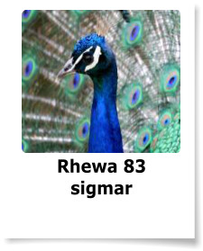 Rhewa 83 sigmar